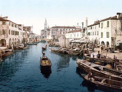 Mercato di Pesce, Chioggia - English School