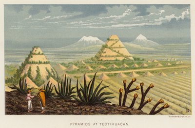 Mexique : Pyramides de Teotihuacan - English School