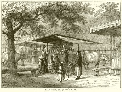 Milk Fair, St. James