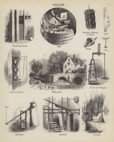 Miller (gravure) - English School