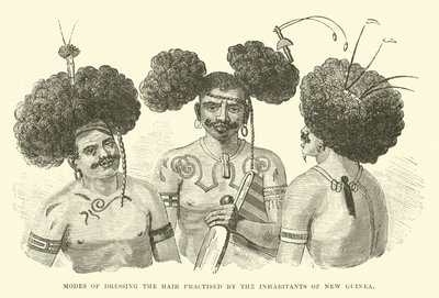 Modes de coiffure pratiquées par les habitants de Nouvelle-Guinée - English School