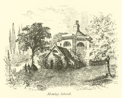 Île aux Singes - English School