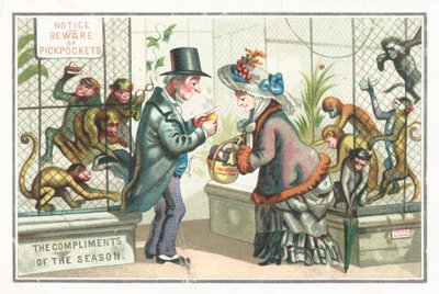 Singes pickpockets au zoo - English School