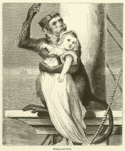 Singe et enfant (gravure) - English School