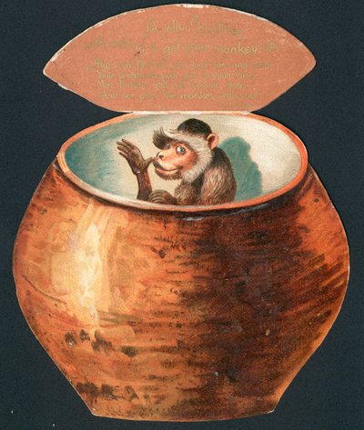 Singe dans un pot - English School