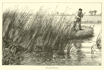 Chasse à la poule d