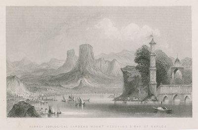 Mont Vésuve et la baie de Naples - English School