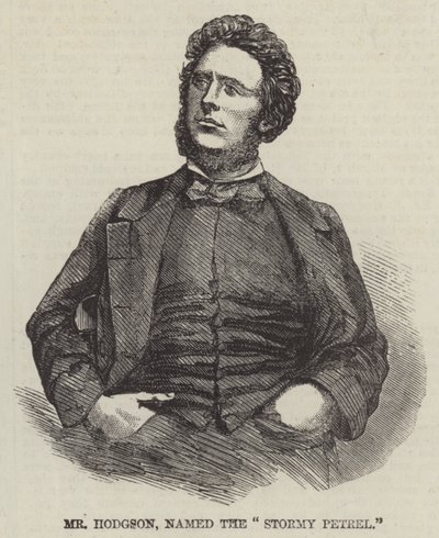 M Hodgson, surnommé le "Pétrel Tempétueux" - English School