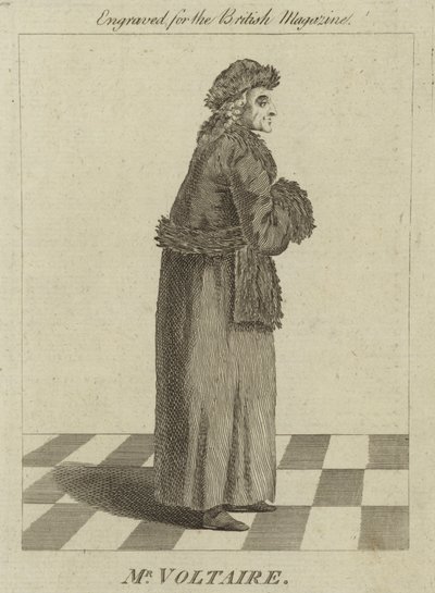 M. Voltaire - English School
