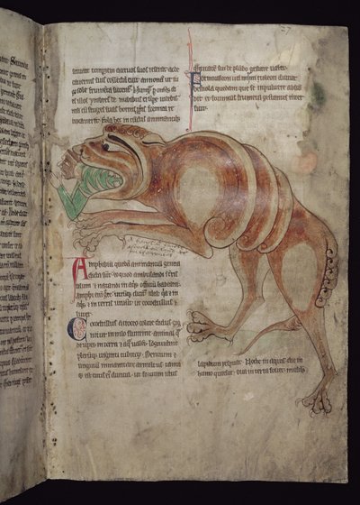 Ms.254 f.24 r Cocodrillus avalant un homme - English School