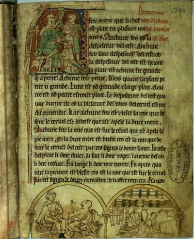 Ms.O.1.20.f.241v Jérôme : Un médecin visitant un patient et un apothicaire, de 