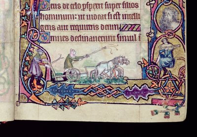 Ms 1-2005, ff.76v-77r : David et le fou, initiale historiée du Psautier de Macclesfield, Usage de Sarum, East Anglia, vers 1330 (détail) - English School
