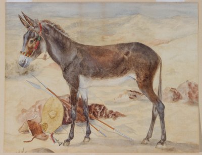 Mule - English School