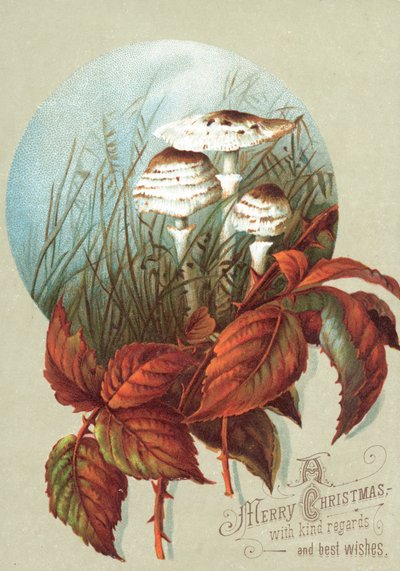 Champignons et feuilles, carte de Noël - English School