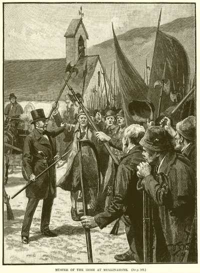 Rassemblement des Irlandais à Mullinahone - English School