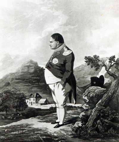 Napoléon sur l