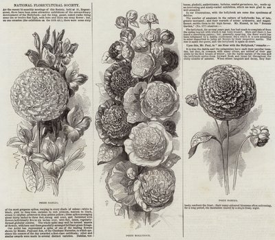Société nationale de floriculture - English School