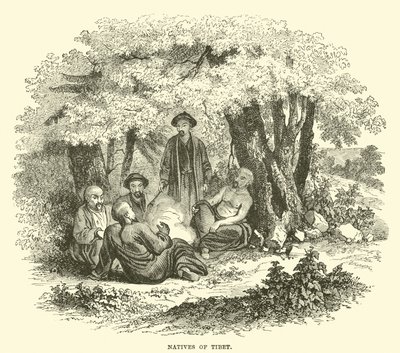 Natifs du Tibet - English School