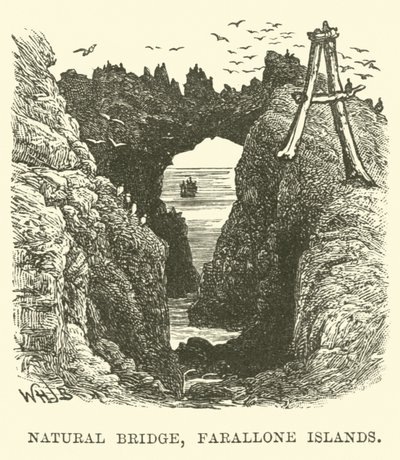 Pont naturel, Îles Farallon - English School