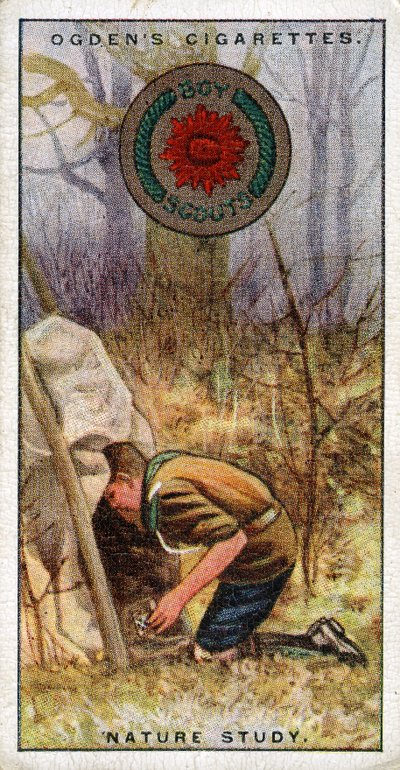 Badge d