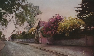 La beauté de la nature révélée en couleur par la photographie - English School