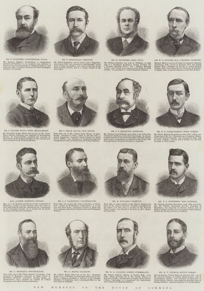Nouveaux membres de la Chambre des communes (gravure) - English School