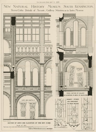 Nouveau Musée d