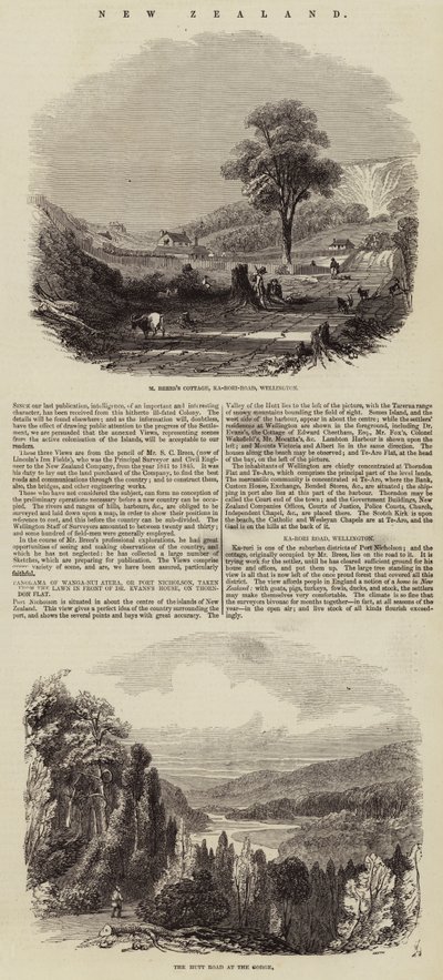 Nouvelle-Zélande (gravure) - English School