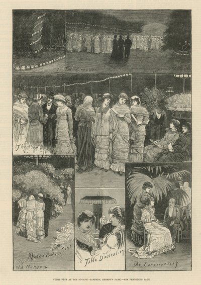Fête nocturne aux jardins botaniques - English School