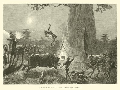 Surprise nocturne dans le désert du Kalahari - English School