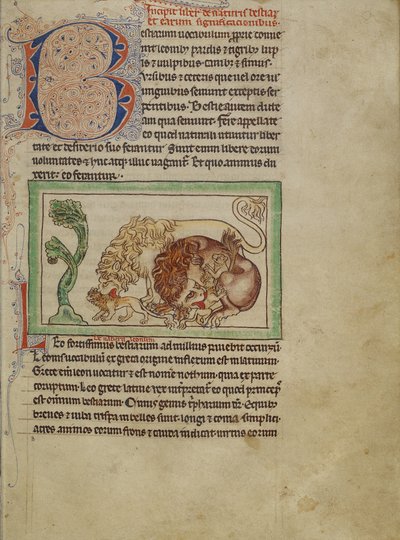 Bestiaire de Northumberland, vers 1250-60 - English School