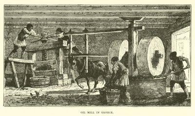 Moulin à huile en Grèce - English School