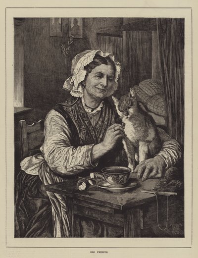 Vieux Amis - English School