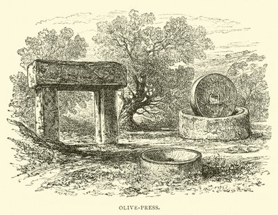 Presse à olives - English School
