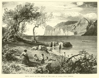 Oliveraie sur le rivage du lac de Garde, près de Torbole - English School
