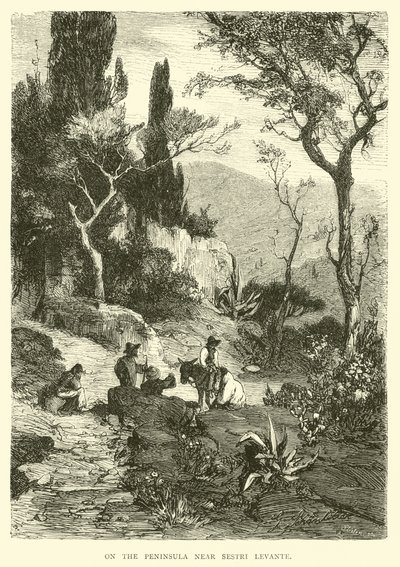 Sur la péninsule près de Sestri Levante - English School