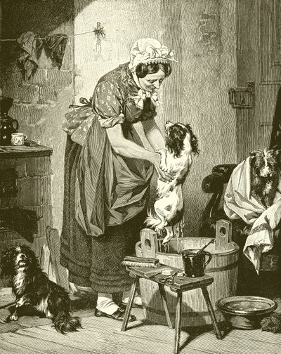 Ordre du bain - English School