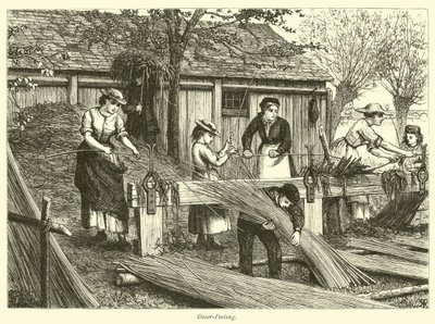 Épluchage d
