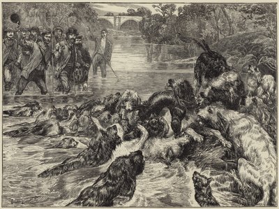 Chasse à la loutre dans le nord - English School