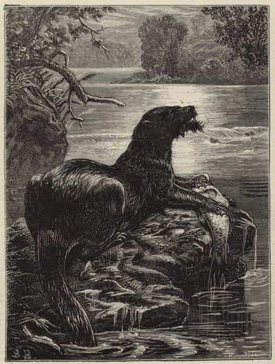 Chasse à la loutre dans le nord - English School