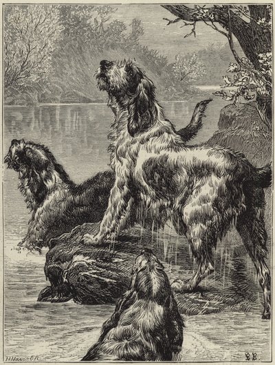 Chasse à la loutre dans le nord - English School