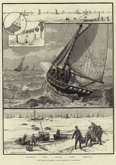 Nos industries de la pêche : Dragage des huîtres à Whitstable - English School
