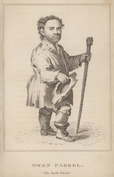 Owen Farrel, le nain irlandais - English School