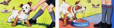 Paddy Paws - English School