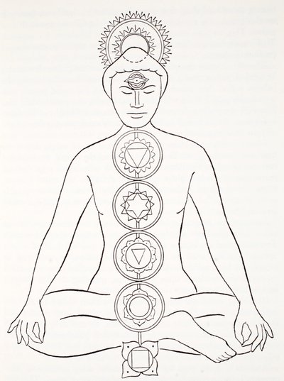 Padmasana ou position du lotus - English School