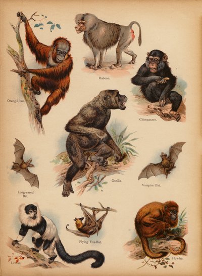 Page de L