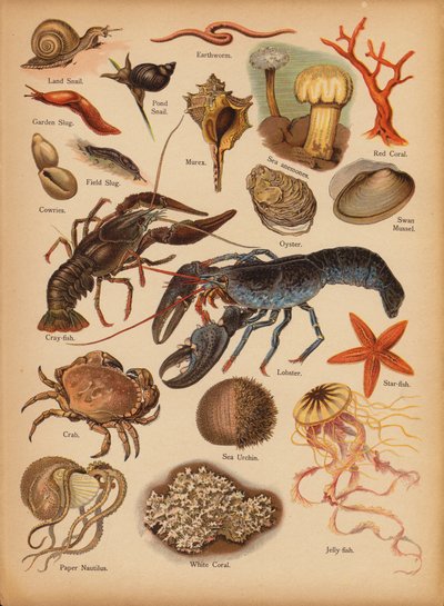 Page de L
