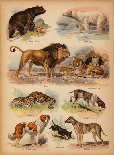 Page du Petit Livre d