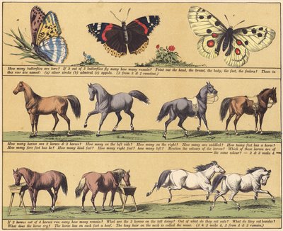 Page du 