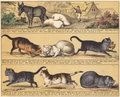 Page du Nouveau Livre d